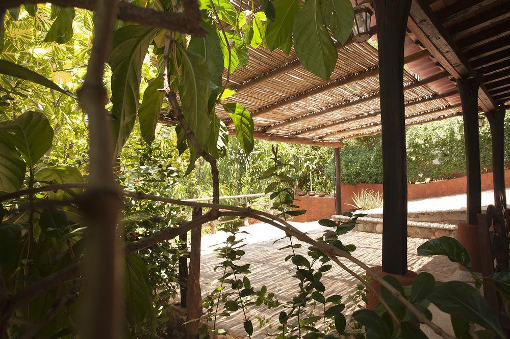 Casa Huijazoo Nature & Balance Hotel Mazunte Luaran gambar